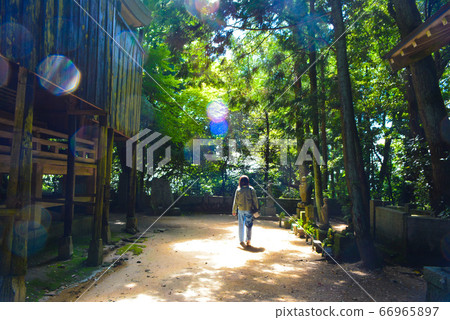 平行世界 66965897