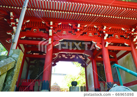 崎山善光寺 66965898