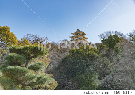 Marugame Castle, Kagawa Prefecture, Shikoku Marugame Castle, Kagawa Prefecture, Shikoku 66966319