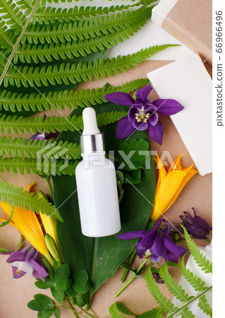 White glass serum bottle, leaves and flowers on White glass serum bottle, leaves and flowers on 66966496