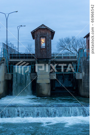 Old water plant closeup 66966542