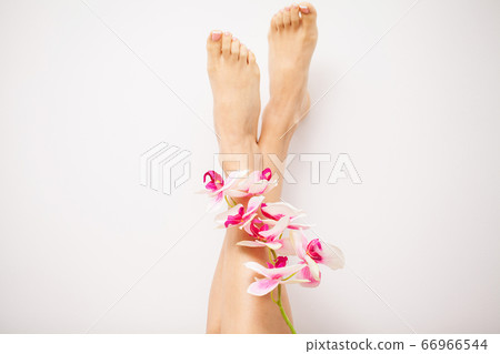 Long female legs with beautiful smooth skin, leg care concept and hair removal 66966544