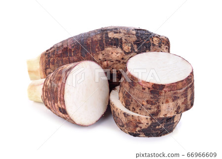Taro isolated on white background Taro isolated on white background 66966609