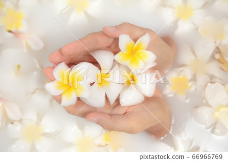 Spa concept Spa concept 66966769