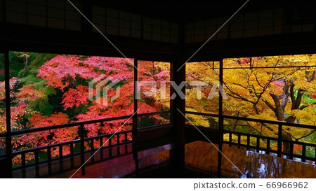 Kyoto Rurikoin Autumn 66966962