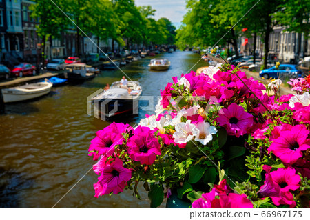 Amsterdam canal and flowers 66967175