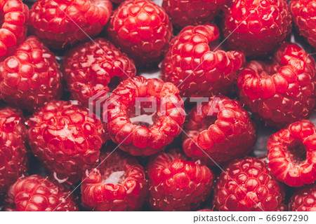 Macro of Fresh raspberries Macro of Fresh raspberries 66967290