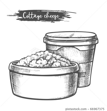 Dairy products, cottage cheese sketch, milk food Dairy products, cottage cheese sketch, milk food 66967375