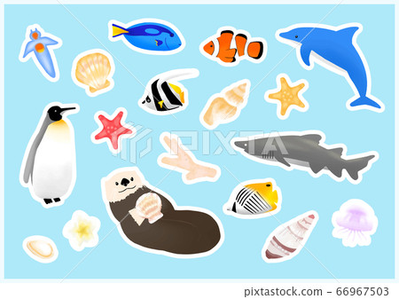 夏季魚海洋生物插圖集 66967503