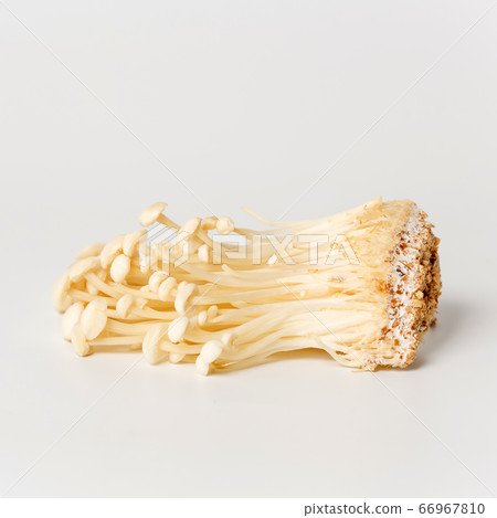 Heap of little white enoki mushrooms on neutral white background, close-up 66967810