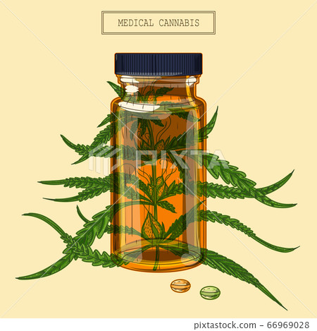 Medical Cannabis branch and vial and pills Medical Cannabis branch and vial and pills 66969028