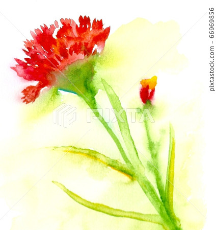 Watercolor Watercolor 66969856