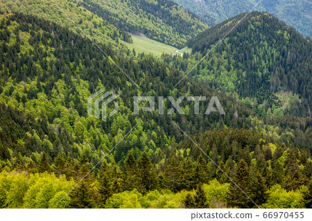 hills covered by different green grass and forest hills covered by different green grass and forest 66970455