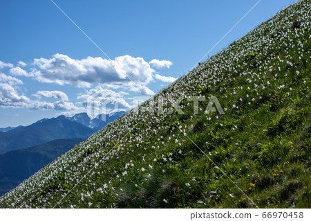 beautiful high mountain landscape Alps view beautiful high mountain landscape Alps view 66970458