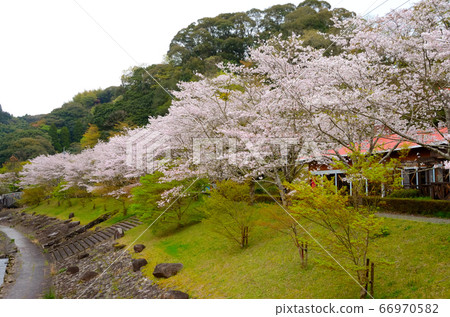 Kannonaki Park 66970582