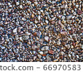 Pebble lies evenly on the seashore. 66970583