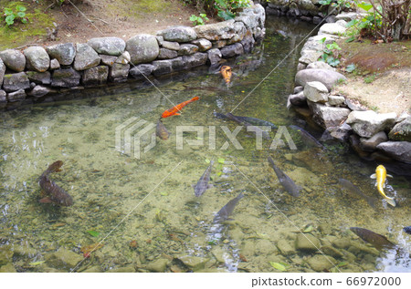 View of the pond at Hagi Old Yukawa House Garden 66972000