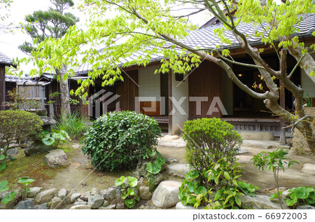 View of the standing trees and buildings in the garden of Hagi Old Yukawa House 66972003