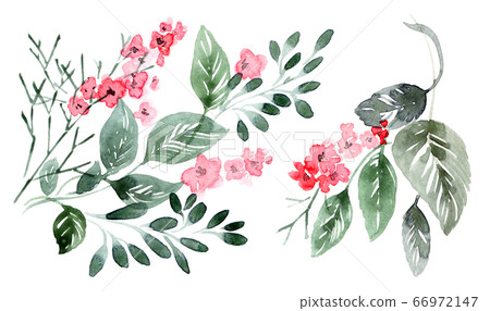 Watercolor floral arrangments 66972147