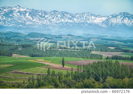 新英之岡的十勝岳聯邦觀點 新英之岡的十勝岳聯邦觀點 66972176
