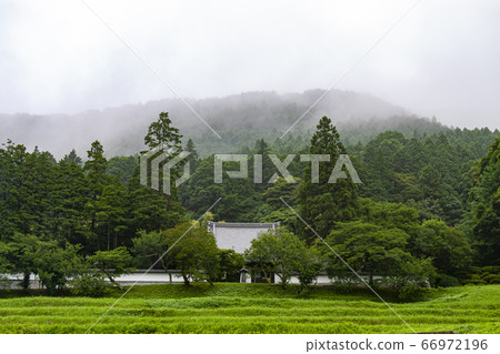 A panoramic view of Itakashiyama Daikakuji Temple over a haze [rainy season] 66972196