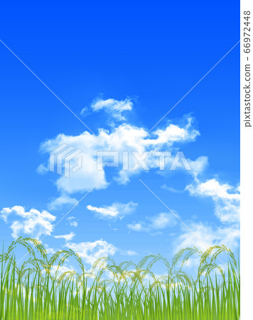 Rice rice agriculture background 66972448