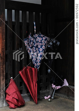 umbrella 66972502