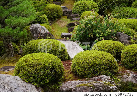 高台花園小月割草04 66972733