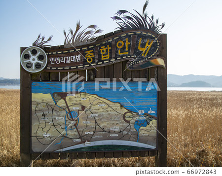 Sinseong-ri Reed Field, Hansan-myeon, Seocheon-gun, Chungcheongnam-do, Korea Sinseong-ri Reed Field, Hansan-myeon, Seocheon-gun, Chungcheongnam-do, Korea 66972843