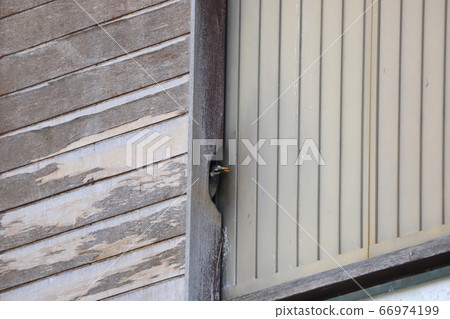 Starling out of the door pocket 66974199