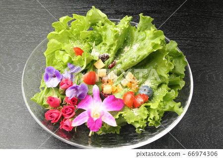 Edible Flower Salad Edible Flower Salad 66974306