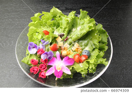 Edible Flower Salad 66974309