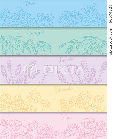 A sketch of aromatic oils and herbs that can be used for banners, backgrounds, etc. Vector image 66974529