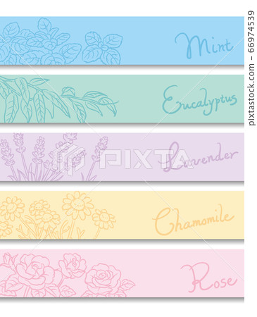 A sketch of aromatic oils and herbs that can be used for banners, backgrounds, etc. Vector image 66974539
