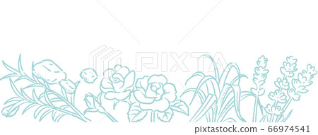 A sketch illustration of herbs for aromatic oils that can be used for banners, backgrounds, etc. Vector image A sketch illustration of herbs for aromatic oils that can be used for banners, backgrounds, etc. Vector image 66974541
