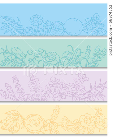 A sketch illustration of herbs for aromatic oils that can be used for banners, backgrounds, etc. Vector image A sketch illustration of herbs for aromatic oils that can be used for banners, backgrounds, etc. Vector image 66974552