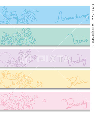 A sketch of aromatic oils and herbs that can be used for banners, backgrounds, etc. Vector image A sketch of aromatic oils and herbs that can be used for banners, backgrounds, etc. Vector image 66974583