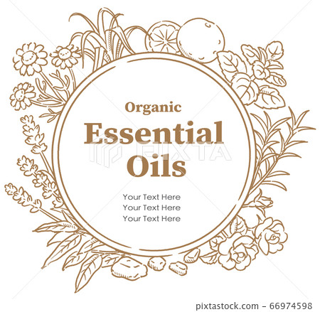 Designed with herbs used in aroma oils. Vector image Designed with herbs used in aroma oils. Vector image 66974598