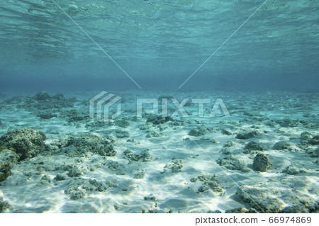 在熱帶土地的水下景觀 在熱帶土地的水下景觀 66974869