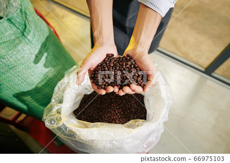 Roasted coffee beans 66975103