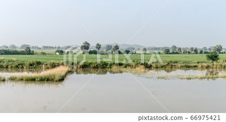 Landscape Scenery of Agriculture field in Agrarian India.  66975421