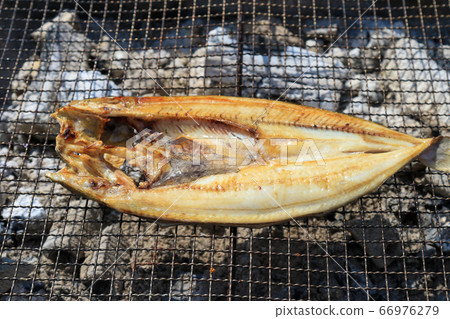 Grilled fish 66976279