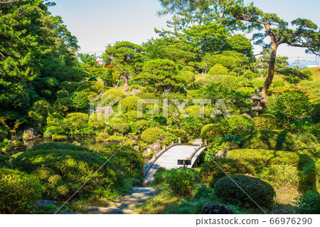 Early summer in Yamagata Sakata, fresh green Homma Museum, Tsurumaien 66976290