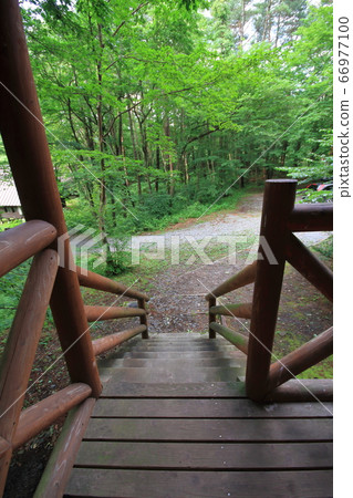 Campsite in the forest (view from bungalow of Sanbe Kitanohara Campsite, Shimane Prefecture) 66977100