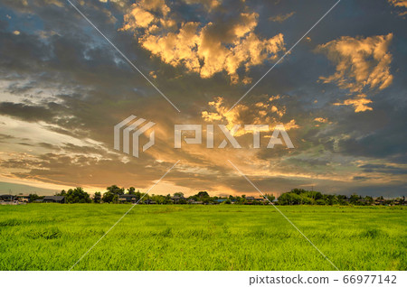 Dramatic sunset in the countryside 66977142