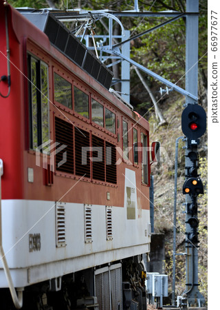 red light red light 66977677