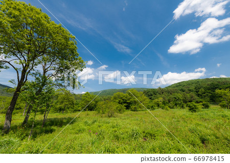 在八man原山腳下的沼澤。拍攝於雨季，壯麗的景色引人入勝。 66978415