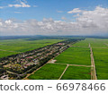 Aerial view of green paddy field at Malaysia countryside. 66978466