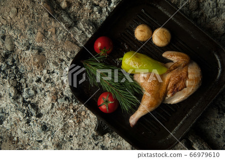 a dish on cold coals 66979610