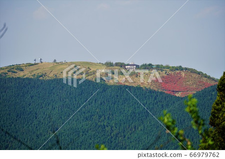 金剛山的大和山桂木山 66979762